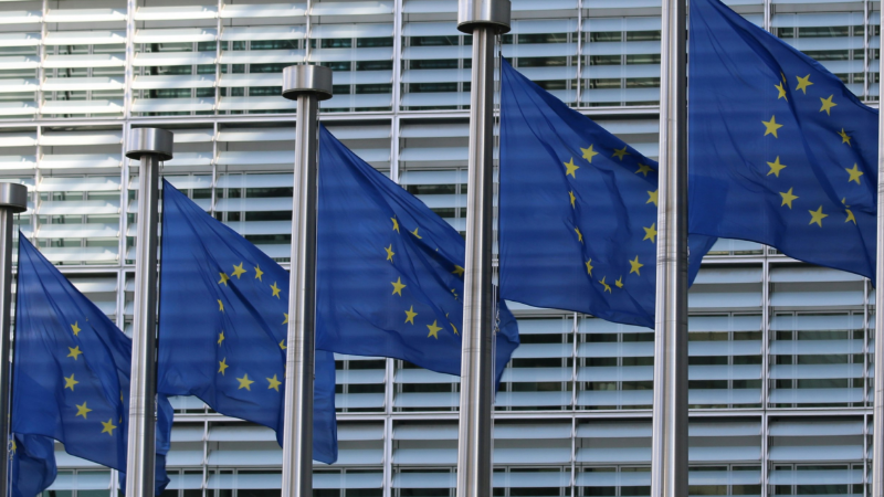 Das Foto zeigt die blau-gelbe Fahne der Europäischen Union, symbolisch für die anstehende Europawahl.