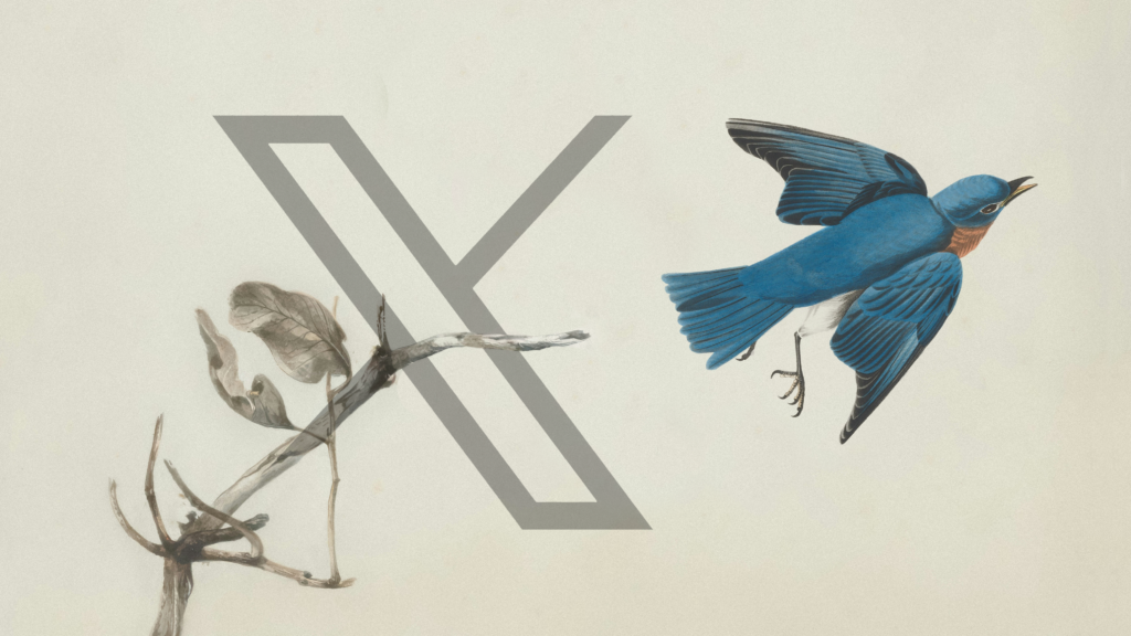 Eine stilisierte Illustration mit einem großen „X“ in einer minimalistischen Schriftart, mit einem trockenen Zweig und verblichenen Blättern auf der einen Seite und einem leuchtend blauen Vogel im Flug auf der anderen Seite. Das Bild symbolisiert einen Übergangsprozess, wobei der Vogel das frühere Twitter-Logo darstellt und das „X“ das Rebranding der Plattform und Änderungen im Regelwerk von X symbolisiert.