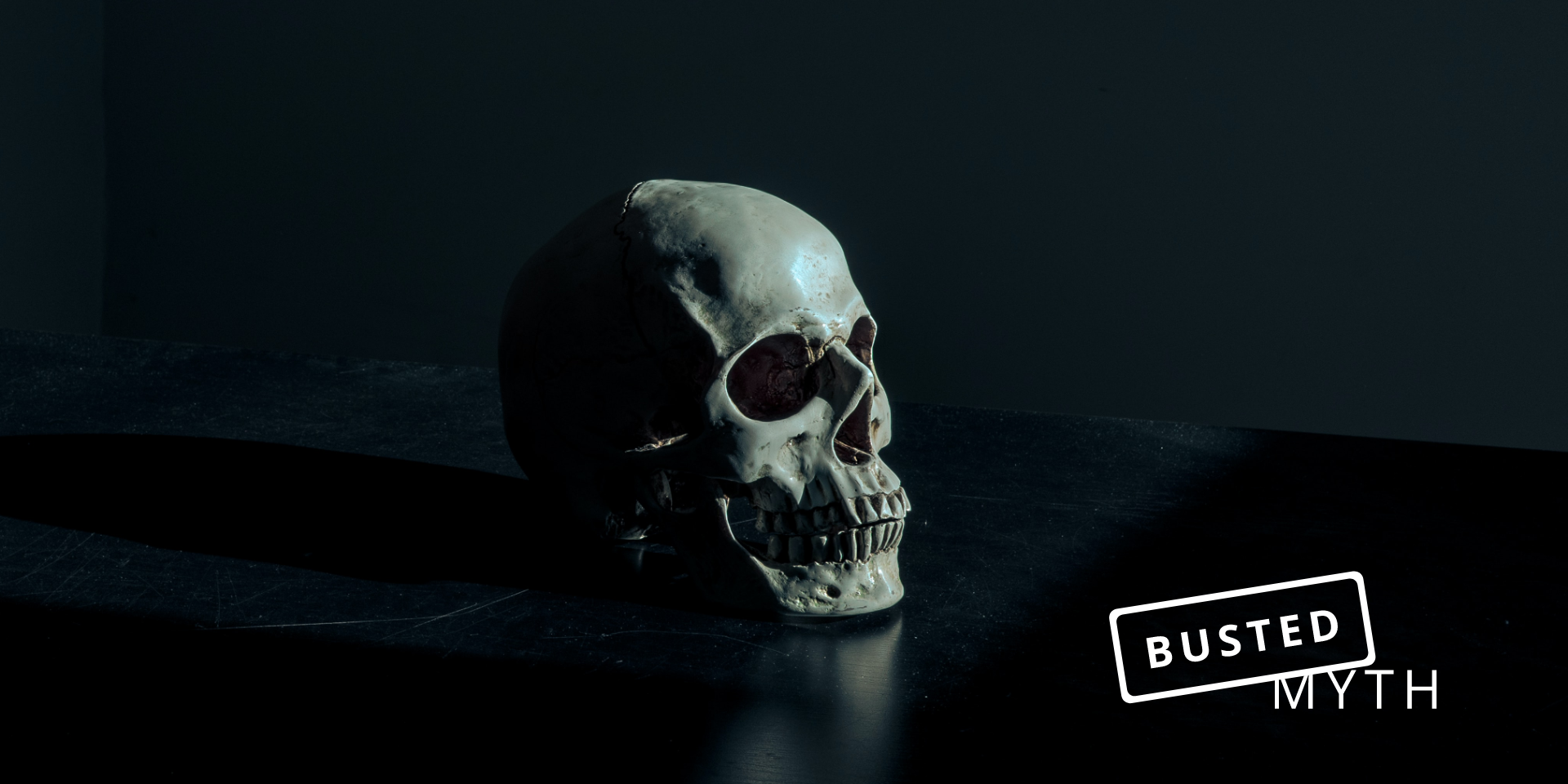 Skull head bust with LED light photo – Free Skull Image on Unsplash