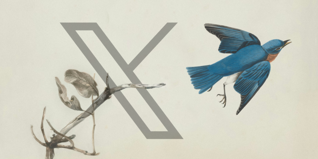 Eine stilisierte Illustration mit einem großen „X“ in einer minimalistischen Schriftart, mit einem trockenen Zweig und verblichenen Blättern auf der einen Seite und einem leuchtend blauen Vogel im Flug auf der anderen Seite. Das Bild symbolisiert einen Übergangsprozess, wobei der Vogel das frühere Twitter-Logo darstellt und das „X“ das Rebranding der Plattform und Änderungen im Regelwerk von X symbolisiert.